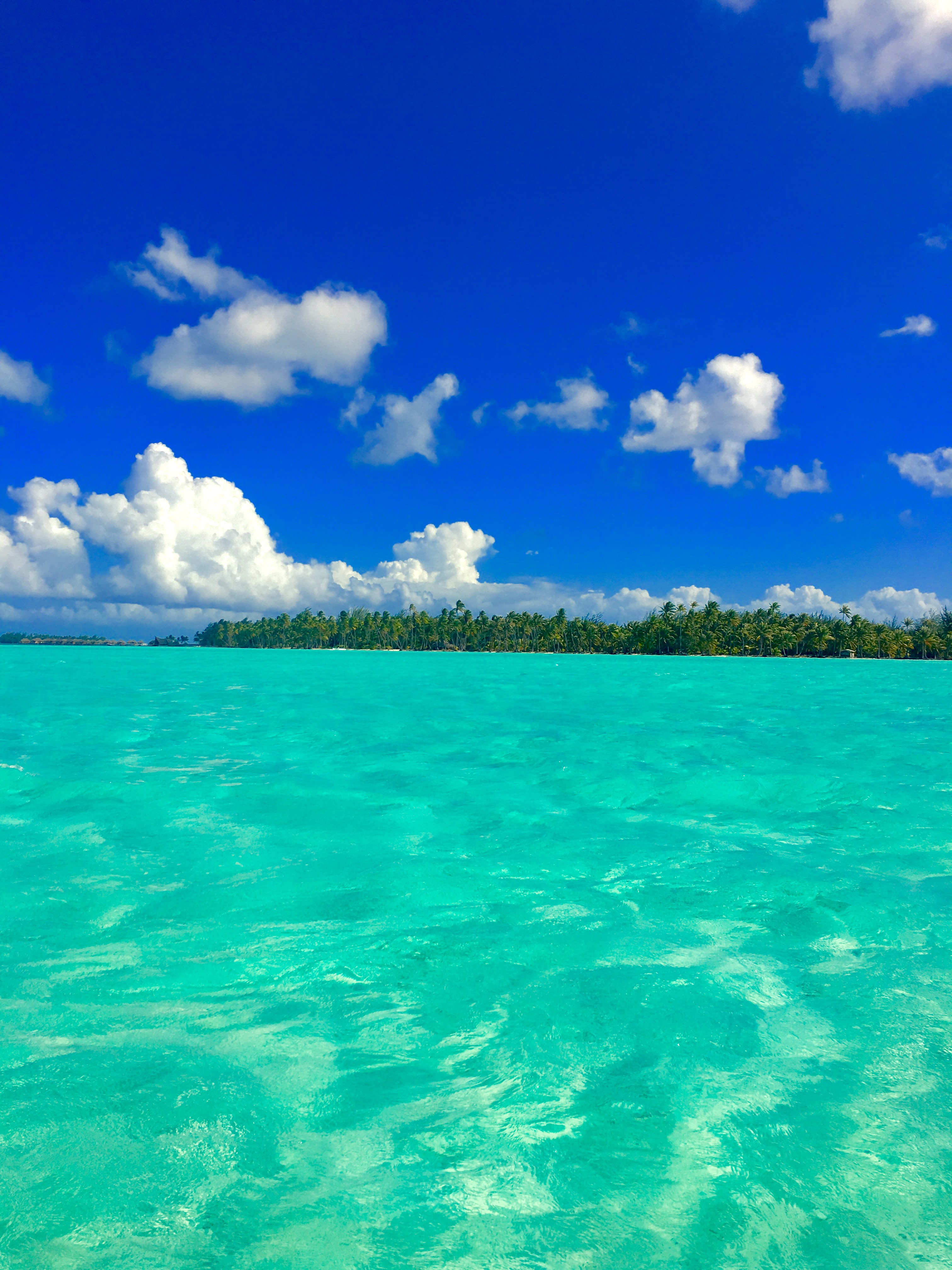 Bora Bora Lagoon Tour and Private Island Champagne Lunch – luxybeartravels